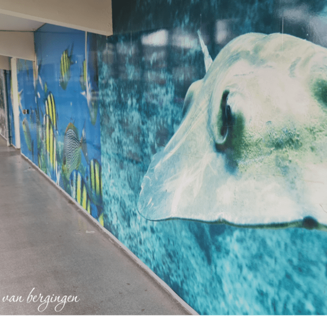 45_entree-bergingen