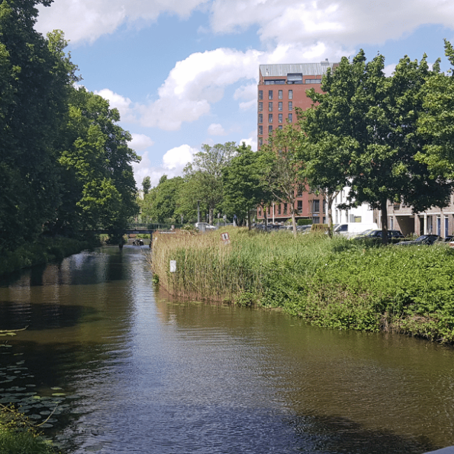 61_foto-singel-mark-breda-bij-marksingel