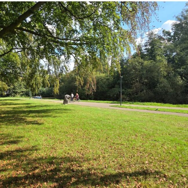 Boeimerpark 1 via Willemars Wonen